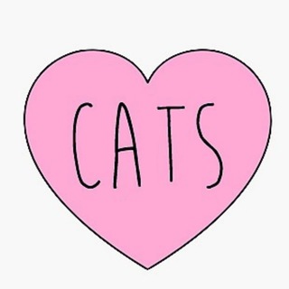 КотоМанечка (Коты Котики Котята)