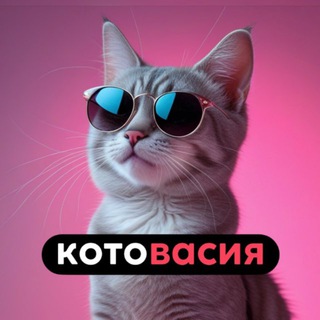 Котовасия 🎀 коты и ТЫ