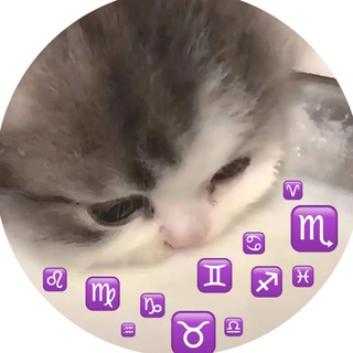 Все котознаки