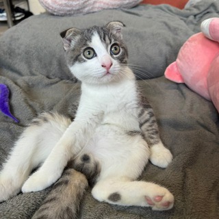 Есть тема.🩻