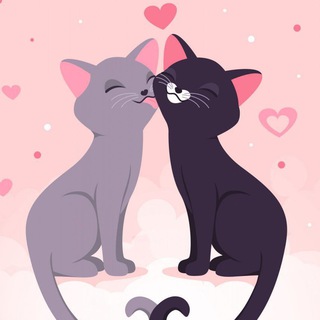 Мой Котя 😻