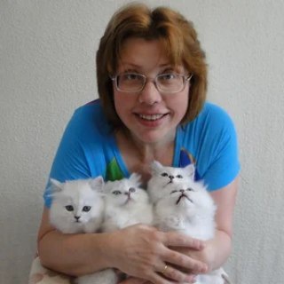 😸 КотоВедение🐈