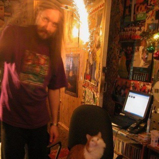 Boulevard of broken cats🎄☃️