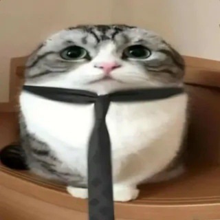 Котятник Флопы