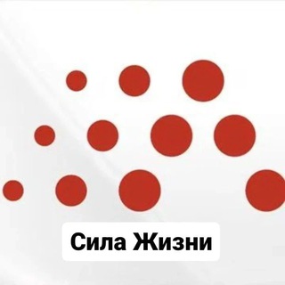 Сила Жизни ⚡️⚡️⚡️коврик электрический ⚡электроКорнивор ⚡КБД масло