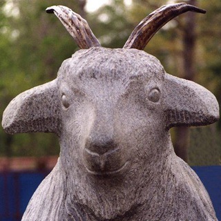 Сказ урюпинской козы