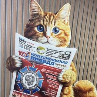 КП Ростов-на-Дону. Новости региона