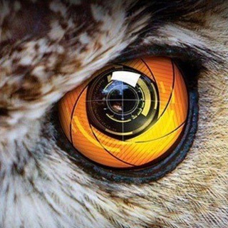 ОД Шаги к Победе