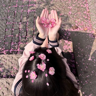 k-pop gallery ࣳ ִ 𝅄🌸ִ 𝂅