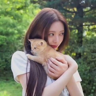 moraine | kpop templates & info