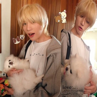 ⲨⲟⲘⲓ-ⲨⲟⲘ sɦ᧐ρ