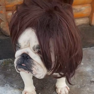 Будка Deyki😈