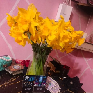 Крайняя Комната - таролог Алиса