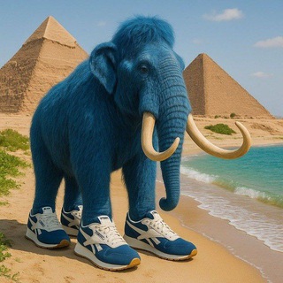 братишка Кракен