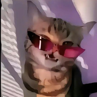 KralVi 🥀 СТИКЕР ТУТ