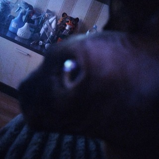 KRANIN STUDIO || Переходник