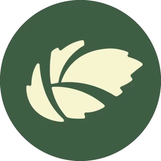 Крапива Пермь | Питомник растений