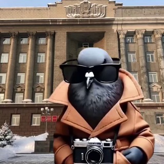 Голубь с Мира