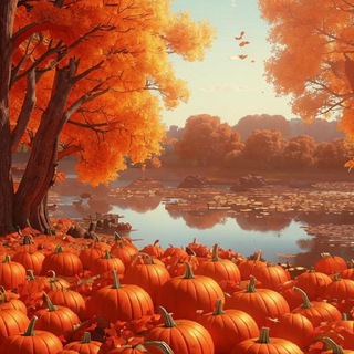 Обои на телефон/ Красивые картинки