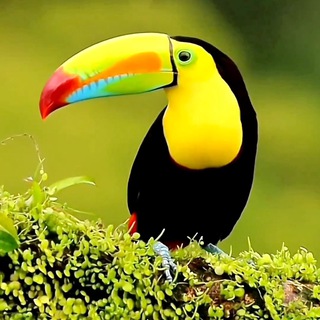 КРАСИВЫЕ КАДРЫ