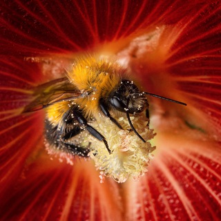 Особый ракурс