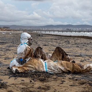 Чистый Край