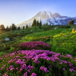 Красота мира 🌷