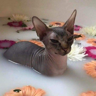 как мне всё это дорого