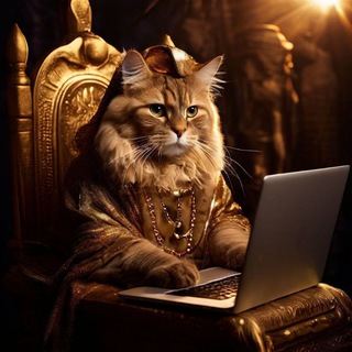 КриптоКот ML