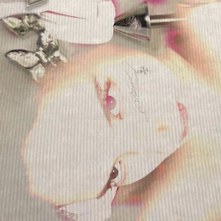 дурка дизайнера