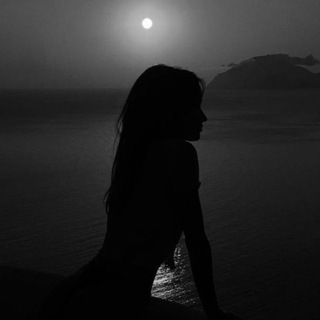 kris||taro🐈‍⬛