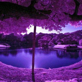 Кристалл знаний