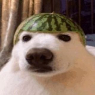 Корпорация животных