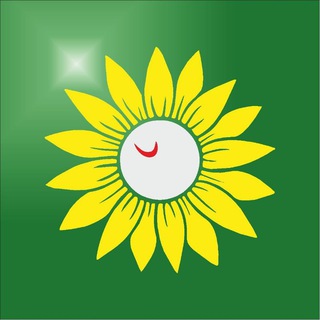 ☕️ ТАРЫ-БАРЫ в Кругу друзей