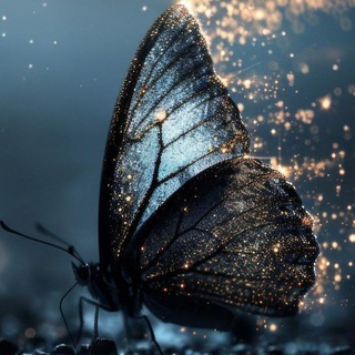 🦋*°•.Заметки на крыльях бабочки.•°*🦋