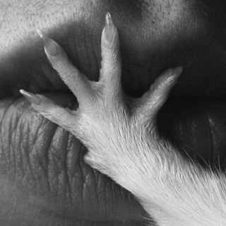 С любовью, Крысильда!