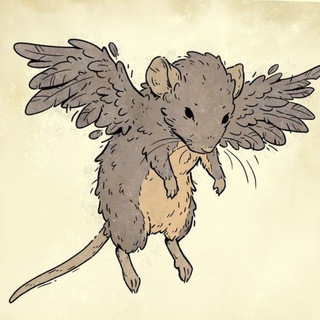 Крысы | Rats 🐁