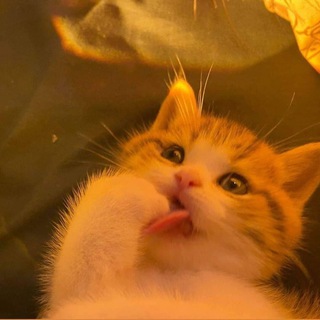 Булочная Ксюши Пахомовой