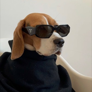 Кружки Ксенонки