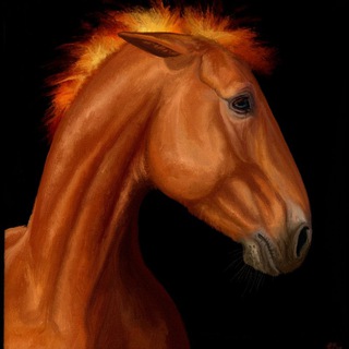 Ksk FireWander || WHI