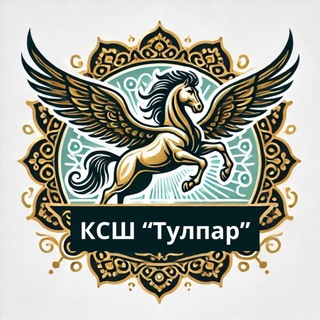 КСШ ТУЛПАР имени Р.С Хамадеева