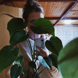 ksssandorium diary 🌿