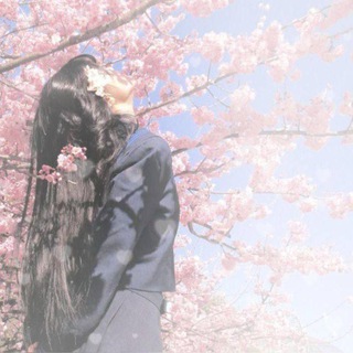 образы айдолов 🪽