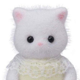 какое читать, у меня лапки