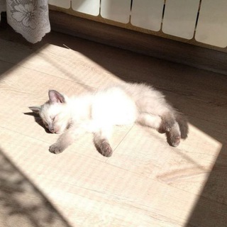 ktaroff | твой комфортный таролог