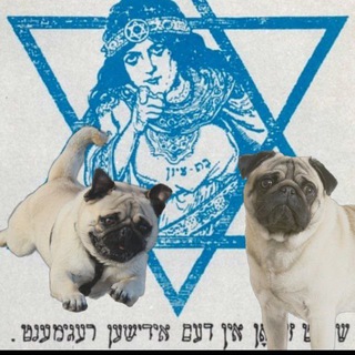 лысина штефанова