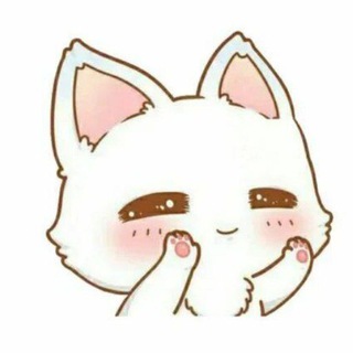 культурный кот