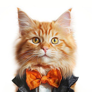 Культурный КОТ