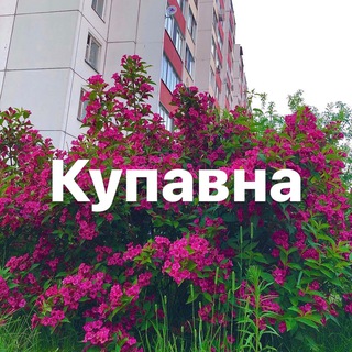 Новости Купавны