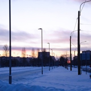 Cupidonisaapad 2 –Путь выживания